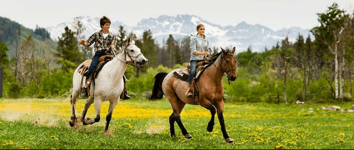 Confident plus-size woman riding Sutton Coldfield a horse through a field with a smile on her face.